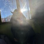 Rosalía Instagram - Proposito del año: ultimo sigarrito del año. FELIZ 2024 CARISSS GRACIAS A TODOS X ESTAR AHÍ SIEMPRE❤️‍🔥