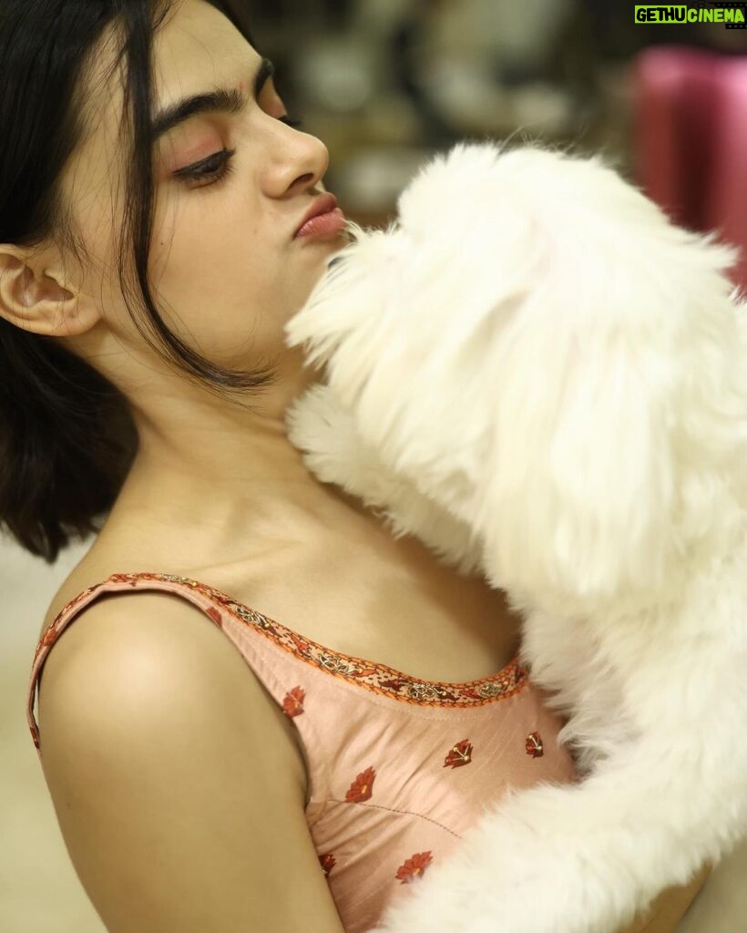 Ruhanika Dhawan Instagram - Dear Lassi(lassu), You teach us love, compassion empathy Whether it’s my parents,relatives, our house help or even the guard you treat everyone with the same affection. That’s the thing about dogs they treat everyone equally irrespective of their caste, colour, creed or financial status. You only seek ‘love’ in return from everyone. Thank you for choosing Us lassi. Hamari aankhon ka tara hamara pyaara gugu nana. 🐾 🐾❤️❤️