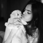 Ruhanika Dhawan Instagram - 🐾♾️ #dogsofinstagram #babylassi #puppy #ruhaanikadhawan