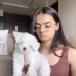 Ruhanika Dhawan Instagram – 2 punjabis there has to be drama 

disclaimer : both my hands were bitten during the filming of this video 

@lassidhawan thank you for cooperating 

#dogsofinstagram #ruhaanikadhawan #maltese