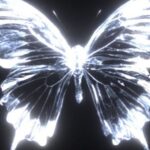 Ruka Instagram - 🦋