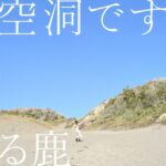 Ruka Instagram - みんなさんへ 私が、シンガー・デビューすることが決定した！ 記念すべきデビュー曲は、ゆらゆら帝国『空洞です』のカヴァーです。 2021年2月に発売を予定しているデビュー盤には、同曲の日本語ヴァージョン、私自身が訳詞を手掛けた中国語ヴァージョン、そして山本精一さんによる「Adrenalineヴァージョン」の3曲を収録。 アナログ盤と配信でのリリースとなる。 すごくドキドキです。 速くみんなに聴いてほしい！ 楽しみいっばいです♪ 是非一緒に楽しみにしてください 『空洞です』明年2/10发售 來年我将以歌手身份在日本正式出道。 出道單曲将翻唱#ゆらゆら帝国#的『空洞です』，除了演唱这首歌的日文版， 我也亲自译制了中文版，以及由山本精一老师打造的Adrenaline版也会收录在这张专辑中。 新专辑计划明年1/27在各大音乐平台上线，实体专辑将于2/10正式发售！ 希望大家多多支持！💽✨
