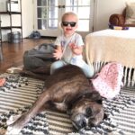 Ryan Hansen Instagram – My BOYS!!!! 
Sirius and Hamilton 
Happy #nationaldogday 
The only #national———day I like! 😆
RiP Sirius ❤️