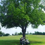 Ryan Merriman Instagram - When they said watch out out for the big tree down the middle...they weren't joking😂👍 #stillmadepar #golf #mothernature #trees #blessed #intherough #buffalorock #goodtimes
