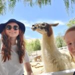 Sadie Sink Instagram - Today I finally got to visit @thegentlebarn !! This incredible sanctuary rescues and rehabilitates animals of all kinds from neglect and abuse. The Gentle Barn does incredible work, providing their animals with the highest quality of care. I encourage everyone to check out their website https://www.gentlebarn.org/ to learn more about the animals and how you can help!