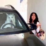 Salma Hayek Pinault Instagram - Who’s in the driver seat of your life? 🐾 ¿Quién está al volante de tu vida? 🐾