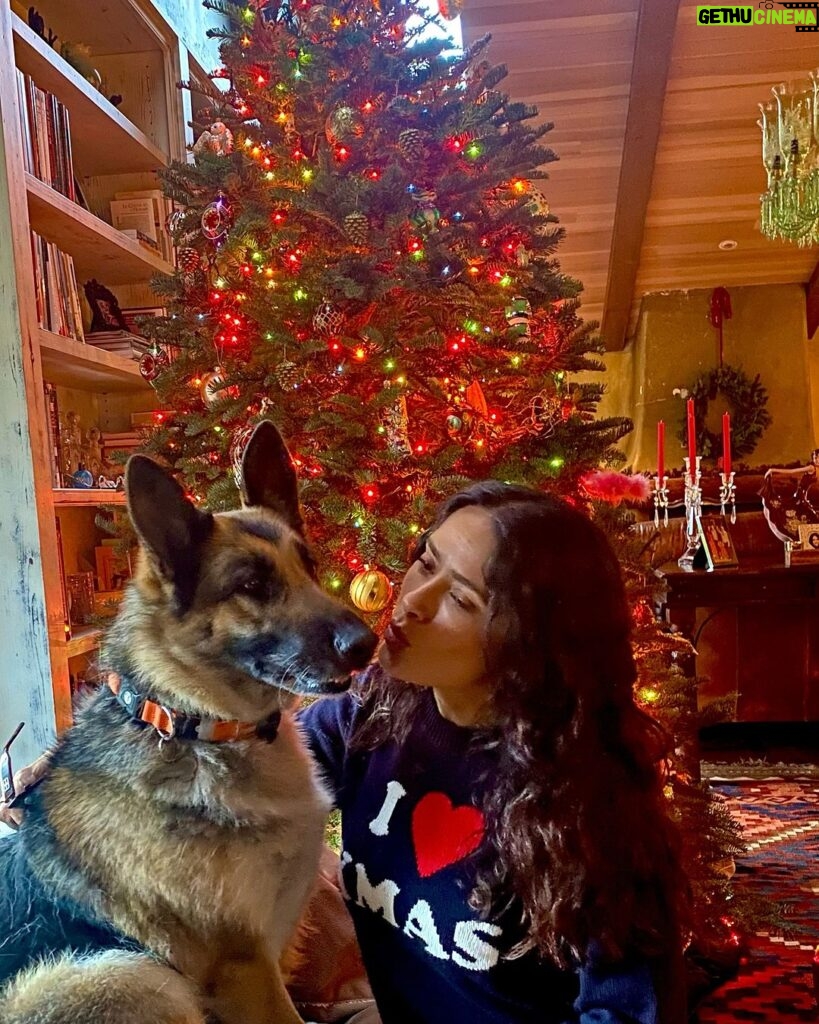 Salma Hayek Pinault Instagram - Happy Holidays to all of you humans and dogs ❤🎄#germanshepard #christmastree