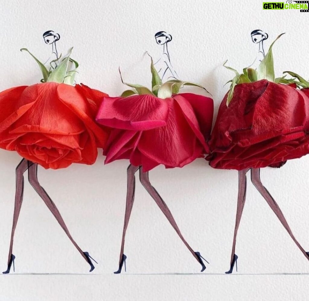 Salma Hayek Pinault Instagram - Sending fashionable flowers to all mothers in America, Europe and across the world celebrating today🌷🌸🌼🌹🌺 #happymothersday Enviando flores de moda a todas las madres en América, Europa y en todo el mundo celebrando hoy 🌷🌸🌼🌹🌺 #felizdiadelamadre 📸: @jaesukkim