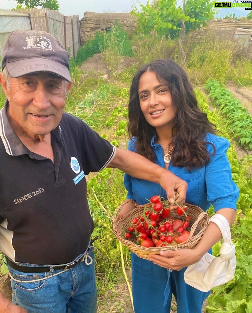 Salma Hayek Pinault Instagram - Grateful for these moments of connection with Mother Nature 🌾🍒Every bite tells a story of sun, soil, and water. 🍋 And yes, that lemon is as big as my head – nature’s own sense of humor! Agradecido por estos momentos de conexión con la Madre Naturaleza 🌾🍒 Cada bocado cuenta una historia de sol, tierra y agua. 🍋 Y sí, ese limón es tan grande como mi cabeza - ¡el propio sentido del humor de la naturaleza!