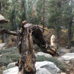Samantha Robinson Instagram - 🤗 Big Bear Lake, California