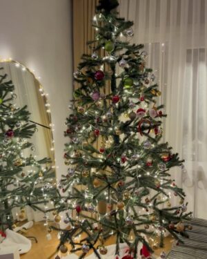 Sanem Bahçekapılı Instagram - 18 yaşına kadar her sene yılbaşında o kapıdan Noel Baba girecek Teoşko, biz bu kararı almış bulunduk…