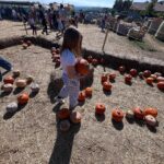 Sarah Felberbaum Instagram - Che giornata meravigliosa!! Grazie @fattoriadellazucca Abbiamo scelto la nostra zucca, intagliata, decorata. Fatto face painting, mangiato, corso e riso. 🎃 #fattoriadellazucca #qualitytime #sundayfunday #happyhalloween Fattoria della Zucca