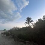 Saskia Thuot Instagram - Miami Beach avec les amis, les palmiers, les enfants (qui préfèrent ne pas se faire voir la binette) et la mer🤍 Le rabais 30FOU en rappel pour votre Balmy. @balmy_towels Maillots @lingerieemma Solaires @irisvisualgroup #escapade #miamibeach #jamaissansmabalmy #balmyxsaskia #chic #eco #fun