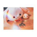 Satomi Sato Instagram - * * * * 先日行われたイベント 『アイドリッシュセブン 7th Anniversary Event "ONLY ONCE, ONLY 7TH."』 歌や朗読劇やバラエティなど 盛りだくさんのイベントでしたね！ * * イベント内で流れた映像 「アイドリッシュセブンの7年間」では 紡さんとしてナレーションを 担当させて頂きましたよ🌈✨ 会場・ライビュ・配信、様々な場所でご覧くださった皆様に 映像も楽しんでいただけたなら嬉しいです。 * * * 7年間を振り返るとアイドルの皆さんが たくさんの夢を、ひとつひとつ叶えてきたんだな…と 改めてその軌跡に感動して、ナレーションを読み進めながら じ〜〜〜んっとしてしまいました。 私は、アニメから参加した身です。 まだ皆様より関わってきた時間は短いですし 微力ではありますが、これからも大好きな小鳥遊紡さんと 全世界の同僚の皆様と一緒に #アイナナ を盛り上げていく お手伝いができればと思っております。 どうぞよろしくお願いします！ * * 写真は、今回のイベントグッズ、 きなこと紡さんのぬいぐるみ そして、イベント内の可愛い言い間違いから 生まれた『王様きなこ（私の想像）』です。 みゅみゅー！！！ * * * #アイドリッシュセブン #アイナナ7周年 #アイナナ７周年 イベント #ナレーション #軌跡 #これからも #よろしくお願いします #🌈 #小鳥遊紡 #きなこ #王様きなこ #ほっこり #☺️ #佐藤聡美