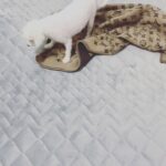 Sehun Instagram - 비비빕비비비ㅣ삐ㅣ삐ㅣ비빕비ㅣ