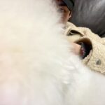 Sehun Instagram -