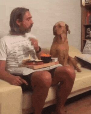 Sergio Peris-Mencheta Instagram - Me puedo pasar horas viendo esto...
😍