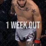 Shane Burgos Instagram - 1 WEEK OUT ⚔️ Shihan Ron Schulmann talks about Shane’s determination to show his greatness and be the best. And we get to see it again in 1 WEEK in the Hulu Theatre at Madison Square Garden! Make sure to show your support! 🌪️ #TEAMHURRICANESHANE • • #pflmma #pfl #shaneburgos #hurricaneshane #motivational #motivation #profight #profights #profighter #profighters #tigerschulmanns #martialarts #martialart #martialartist #martialartists #mma #mmafight #mmafighter #mmafighters #mmafights #mmafight #mmafighting #workhard #noexcuses