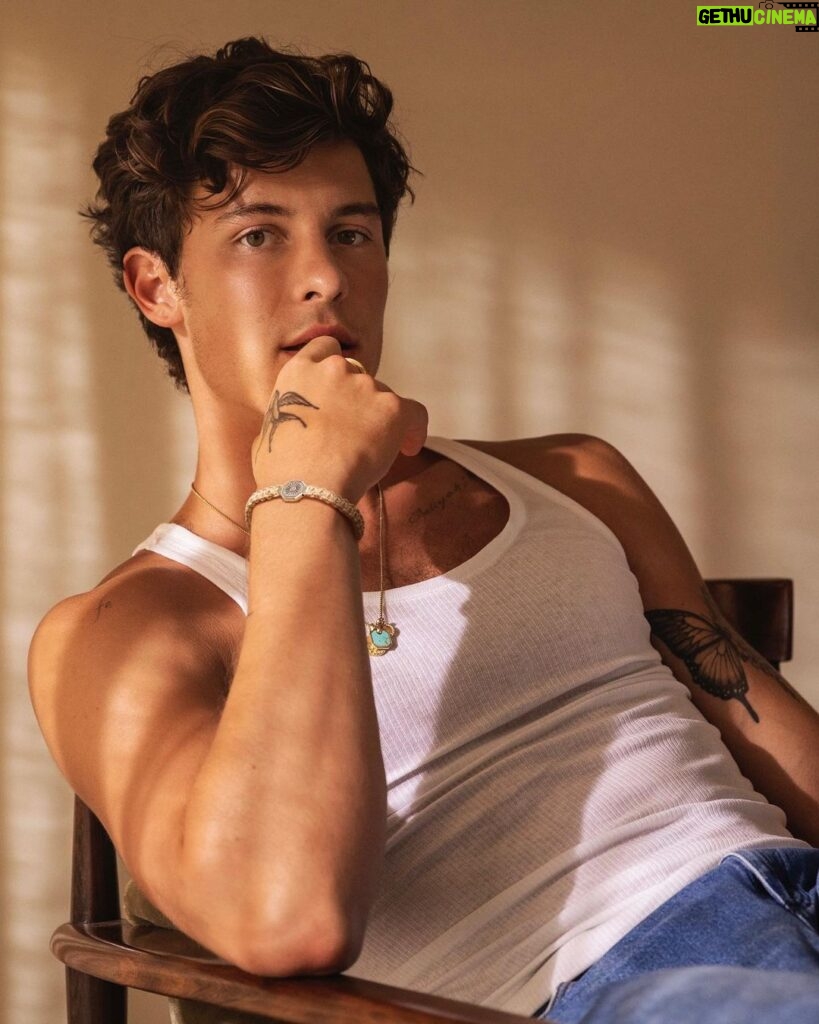 Shawn Mendes Instagram - Thank you @davidyurman for partnering with @shawnfoundation to support youth changemakers through a collaborative bracelet and some of my favourite pieces from our collection. Head to @shawnfoundation for more info 💙