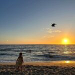 Shay Mitchell Instagram - The seagull was a paid actor
