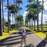 Shirley Lamy Instagram - Bonjour de Guadeloupe ! 🌴☀️ #guadeloupe #travel #capesterrebelleeau #basseterre #gwada