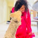 Shraddha Musale Instagram - Hope we all get to embrace and savor the beautiful moments life has to offer 💞 #festivevibes #petlove #loveatitsbest #cutiepie 🤗