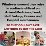 Shraddha Musale Instagram - 🆘 This is very urgent! The land on which they built an animal hospital and shelter in 2016 is on rent, the hospital is equipped with facilities like X-ray, USG, Blood Lab, OT, Admission wards, 2 ambulances and qualified staff of 18 people. The landlord has asked them to vacant or buy the land by Dec 2023. Yearly 4000+ sick or injured animals take treatment and care here,all the admitted animals would become homeless again if this hospital gets shutdown. It's everyone's moral responsibility to push a good cause ahead.🙏🙏🙏 Please do your bit, please donate at least 400/- to buy the land on which they have already built a hospital and shelter. Please donate: Gpay: 9913355932 Gpay/Paytm/ PhonePe: 9724000939 UPI 9913355932@okbizaxis rrsafoundation-2@oksbi rrsafoundation1100@okicici BANK ACCOUNT DETAILS AC Name : RRSA Foundation AC No : 99909724000939 IFSC : HDFC0001244 HDFC Bank, 1244 Branch Code Current Account OR Account Name : RRSA Foundation Account Number : 9811987555 IFSC Code : KKBK0000845 Account type: Current Account Kotak Mahindra Bank,Anand Direct Donation Links are on their Instagram Bio ( @rrsaindia ) Documents for verification also available on the Website: www.rrsaindia.org. #shraddhamusale #shraddha #tv #tvseries #tvshow #actress RRSAINDIA-'Rescue and Rehabilitation of Stray Animals'