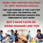 Shraddha Musale Instagram - 🆘 This is very urgent! The land on which they built an animal hospital and shelter in 2016 is on rent, the hospital is equipped with facilities like X-ray, USG, Blood Lab, OT, Admission wards, 2 ambulances and qualified staff of 18 people. The landlord has asked them to vacant or buy the land by Dec 2023. Yearly 4000+ sick or injured animals take treatment and care here,all the admitted animals would become homeless again if this hospital gets shutdown. It's everyone's moral responsibility to push a good cause ahead.🙏🙏🙏 Please do your bit, please donate at least 400/- to buy the land on which they have already built a hospital and shelter. Please donate: Gpay: 9913355932 Gpay/Paytm/ PhonePe: 9724000939 UPI 9913355932@okbizaxis rrsafoundation-2@oksbi rrsafoundation1100@okicici BANK ACCOUNT DETAILS AC Name : RRSA Foundation AC No : 99909724000939 IFSC : HDFC0001244 HDFC Bank, 1244 Branch Code Current Account OR Account Name : RRSA Foundation Account Number : 9811987555 IFSC Code : KKBK0000845 Account type: Current Account Kotak Mahindra Bank,Anand Direct Donation Links are on their Instagram Bio ( @rrsaindia ) Documents for verification also available on the Website: www.rrsaindia.org. #shraddhamusale #shraddha #tv #tvseries #tvshow #actress RRSAINDIA-'Rescue and Rehabilitation of Stray Animals'