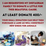 Shraddha Musale Instagram - 🆘 This is very urgent! The land on which they built an animal hospital and shelter in 2016 is on rent, the hospital is equipped with facilities like X-ray, USG, Blood Lab, OT, Admission wards, 2 ambulances and qualified staff of 18 people. The landlord has asked them to vacant or buy the land by Dec 2023. Yearly 4000+ sick or injured animals take treatment and care here,all the admitted animals would become homeless again if this hospital gets shutdown. It's everyone's moral responsibility to push a good cause ahead.🙏🙏🙏 Please do your bit, please donate at least 400/- to buy the land on which they have already built a hospital and shelter. Please donate: Gpay: 9913355932 Gpay/Paytm/ PhonePe: 9724000939 UPI 9913355932@okbizaxis rrsafoundation-2@oksbi rrsafoundation1100@okicici BANK ACCOUNT DETAILS AC Name : RRSA Foundation AC No : 99909724000939 IFSC : HDFC0001244 HDFC Bank, 1244 Branch Code Current Account OR Account Name : RRSA Foundation Account Number : 9811987555 IFSC Code : KKBK0000845 Account type: Current Account Kotak Mahindra Bank,Anand Direct Donation Links are on their Instagram Bio ( @rrsaindia ) Documents for verification also available on the Website: www.rrsaindia.org. #shraddhamusale #shraddha #tv #tvseries #tvshow #actress RRSAINDIA-'Rescue and Rehabilitation of Stray Animals'