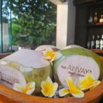 Shrutika Instagram - #poolday #beachvibes #familytime #instamood The Anvaya Beach Resort Bali
