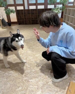 Shuichiro Naito Instagram - 27歳になったみたいです。
27歳はもっと人間味がある投稿を皆さんに見せられるように努力しますね。

毎年言ってる気がするするけど、
頑張り続けるのでみなさんこれからもよろしくお願いします！

誕生日っぽい写真もケーキもないのでかんわいい犬ちゃんたちの動画でお許しを☺︎