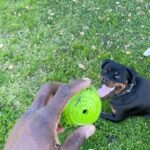 Sinqua Walls Instagram - Puppy Love💙!! Yung NINO ✨