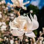Siobhan Williams Instagram - What season is it...?! Who had some good April Fool's jokes this year? What did you do?
