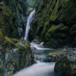 Siobhan Williams Instagram - Pure pacific northwest magic.