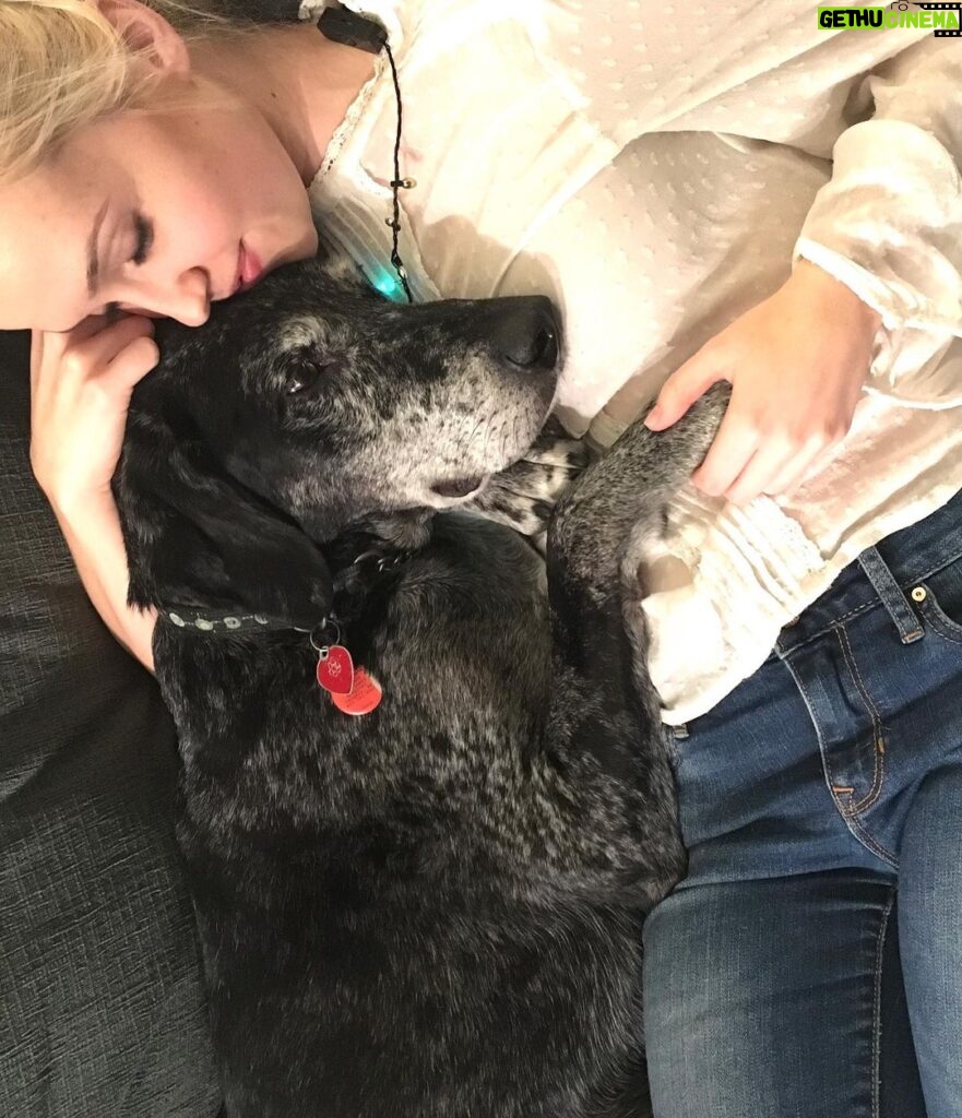 Siobhan Williams Instagram - My sweet, sweet boy. I can’t believe you are gone. You’ve been with my for most of my life that I can remember. You’ve always been my 90 lb lap dog and I will miss having you beg to come sit on me every time I see you. You were the happiest boy your whole life, loved nothing more than being outside, running around and exploring. You never ever stopped being a puppy, or jumping around like one, even when your body was giving up on you. I love you forever Dusty.