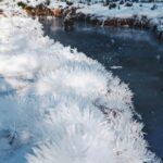 Siobhan Williams Instagram - Sometimes, when water gets pretty cold, like really cold, it does this thing where it turns solid. And it can be very nice to look it. This here type of cold water today is called hoarfrost, my friends. ...cue the comment section.