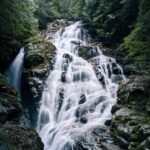 Siobhan Williams Instagram - Pure pacific northwest magic.