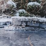 Siobhan Williams Instagram - Sometimes, when water gets pretty cold, like really cold, it does this thing where it turns solid. And it can be very nice to look it. This here type of cold water today is called hoarfrost, my friends. ...cue the comment section.