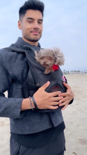 Siva Kaneswaran Instagram - Mylo didn’t like the breeze 😂 So happy to have had some time with the kiddies and @spirits.in.bloom in LA. Haven’t been home since the start of July. 😅

#siva #thewanted #dogdad #losangeles #beach #holidays