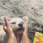 Skyler Joy Instagram - Finding the memories that make me smile 💓 San Diego, California