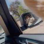 Skyler Joy Instagram - Worst photos make the best memories Los Angeles, California