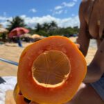 Sofia Bryant Instagram – sofi kick sea urchin 0_°