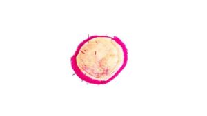 Sonnye Lim Instagram - 고구마 #animation
