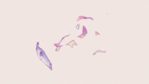 Sonnye Lim Instagram - If you enjoy my work, please consider supporting me on Patreon! [Link in bio] - Thank you!