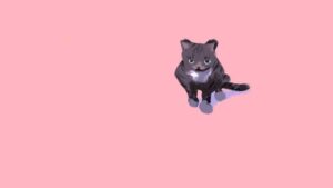 Sonnye Lim Instagram - Gift for my friend @hakobore of their cat, Tabi!
