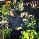 Steevy Boulay Instagram – jungle jungle 🌱

#plants #orchid #urbanjungle #boyswithplants #indoorplants #instaplants #instaboy #houseplants #cattleya #naturaldesign #plantes #난초 Le Mans, France