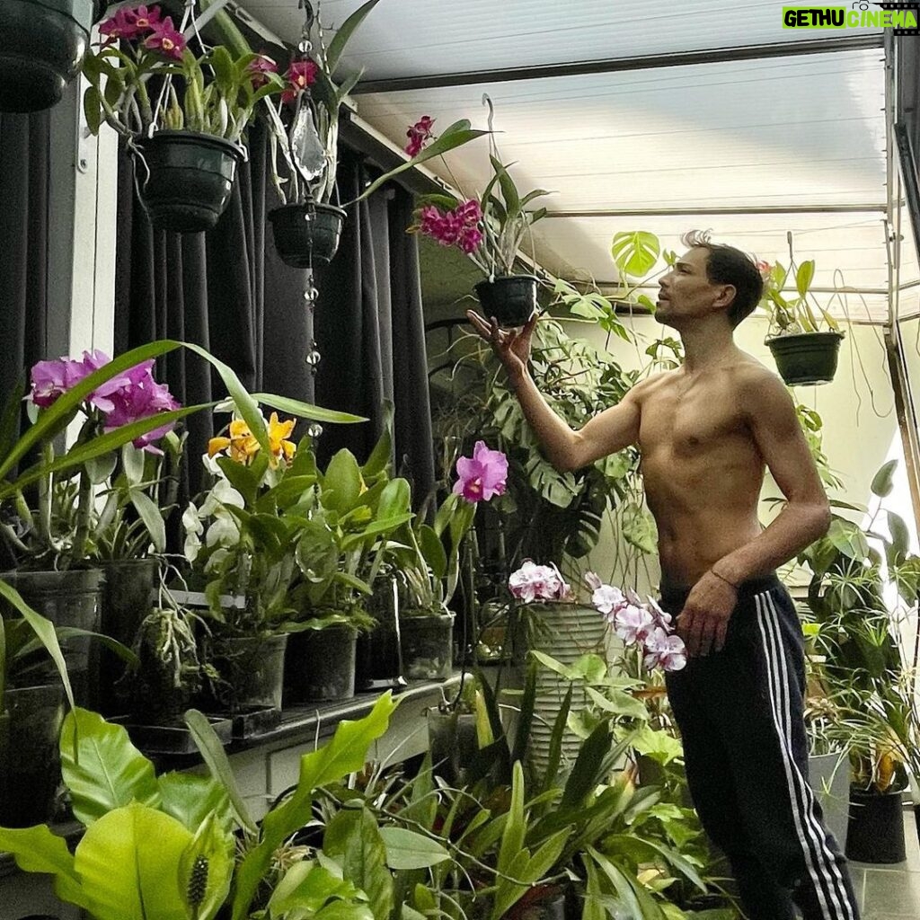Steevy Boulay Instagram - 🌸 #plants #orchid #orchidées #urbanjungle #boyswithplants #instaplants #instaboy