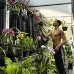 Steevy Boulay Instagram – 🌸

#plants #orchid #orchidées #urbanjungle #boyswithplants #instaplants #instaboy