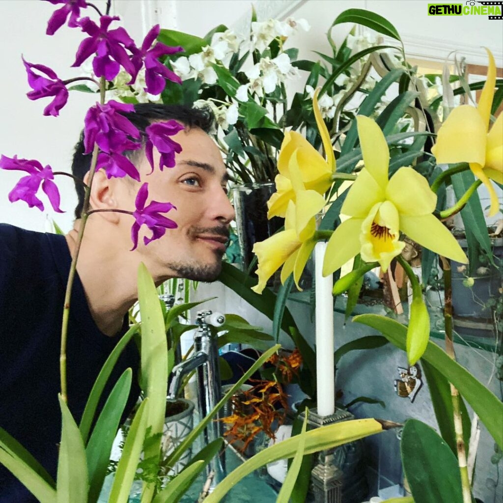 Steevy Boulay Instagram - Les filles et papa ❤️🌸🌺 #orchidées #houseplants #boyswithplants #urbanjungle #indoorplants #plants #orchid Le Mans, France