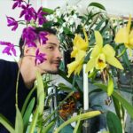 Steevy Boulay Instagram – Les filles et papa ❤️🌸🌺

#orchidées #houseplants #boyswithplants #urbanjungle #indoorplants #plants #orchid Le Mans, France